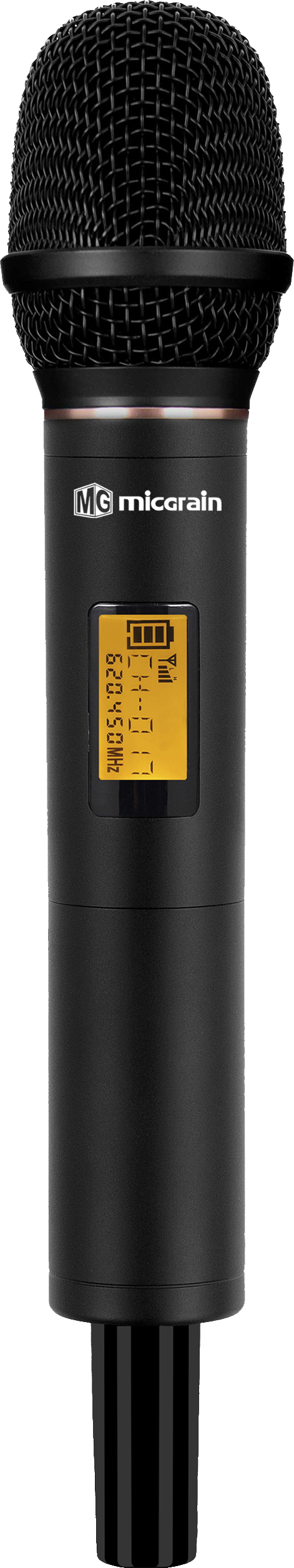 LB-201A 真分集一拖二无线话筒(双手持)